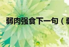 弱肉強(qiáng)食下一句（弱肉強(qiáng)食下一句是什么）
