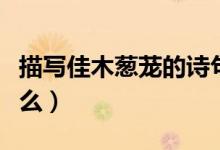 描寫(xiě)佳木蔥蘢的詩(shī)句是（佳木蔥蘢的詩(shī)句是什么）
