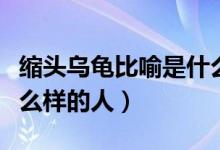 縮頭烏龜比喻是什么樣的人（縮頭烏龜比喻什么樣的人）