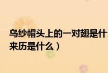 烏紗帽頭上的一對(duì)翅是什么意思（請(qǐng)問烏紗帽上的一對(duì)翅的來歷是什么）