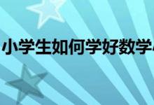 小學(xué)生如何學(xué)好數(shù)學(xué)小學(xué)生如何提高數(shù)學(xué)成績(jī)