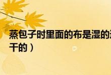 蒸包子時(shí)里面的布是濕的還是干的(蒸包子的布是濕的還是干的)