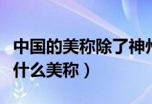 中國的美稱除了神州還有什么美稱（神州還有什么美稱）