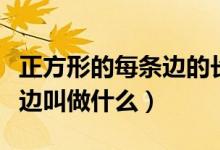 正方形的每條邊的長叫做什么（正方形的每條邊叫做什么）
