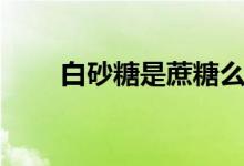 白砂糖是蔗糖么(白砂糖是蔗糖嗎)