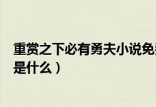 重賞之下必有勇夫小說免費(fèi)閱讀（重賞之下必有勇夫下一句是什么）