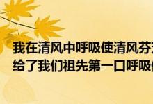 我在清風(fēng)中呼吸使清風(fēng)芬芳馥郁運(yùn)用了什么修辭手法(清風(fēng)給了我們祖先第一口呼吸修辭手法)