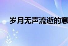歲月無聲流逝的意思（歲月無聲的意思）