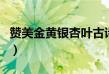 贊美金黃銀杏葉古詩詞（贊美金黃銀杏葉詩句）
