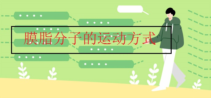 膜脂分子的運動方式