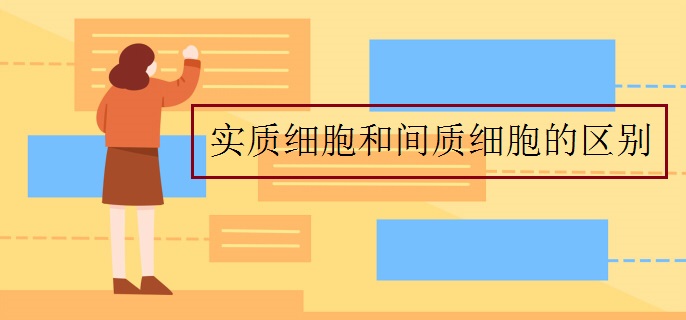 實質(zhì)細(xì)胞和間質(zhì)細(xì)胞的區(qū)別