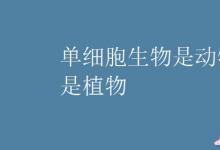 中考快訊：單細胞生物是動物還是植物
