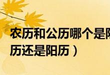 農(nóng)歷和公歷哪個(gè)是陰歷哪個(gè)是陽歷(公歷是陰歷還是陽歷)