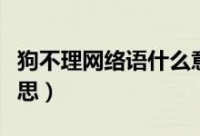 狗不理網(wǎng)絡(luò)語什么意思(狗不理網(wǎng)絡(luò)語什么意思)