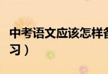 中考語文應(yīng)該怎樣備考(中考語文應(yīng)該如何學習)