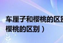 車?yán)遄雍蜋烟业膮^(qū)別的功效與作用(車?yán)遄雍蜋烟业膮^(qū)別)