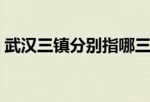 武漢三鎮(zhèn)分別指哪三鎮(zhèn)(武漢三鎮(zhèn)是哪三鎮(zhèn))