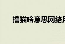 擼貓啥意思網絡用語（擼貓什么意思）