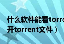 什么軟件能看torrent格式（手機迅雷怎么打開torrent文件）