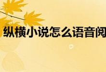 縱橫小說怎么語音閱讀（縱橫小說怎么聽書）