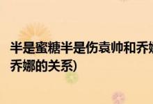 半是蜜糖半是傷袁帥和喬娜什么關系(半是蜜糖半是傷袁帥和喬娜的關系)