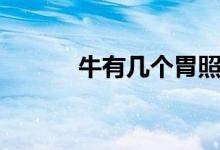 牛有幾個(gè)胃照片(牛有幾個(gè)胃)