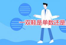 教育資訊:一雙鞋是單數(shù)還是復(fù)數(shù)