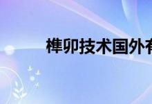 榫卯技術(shù)國外有嗎（榫卯尺寸表）