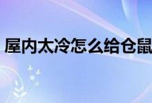 屋內太冷怎么給倉鼠保暖（屋內太冷怎么辦）