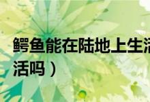 鱷魚(yú)能在陸地上生活嗎（鱷魚(yú)可以在陸地上生活嗎）