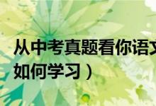 從中考真題看你語文的學習問題(中考語文該如何學習)