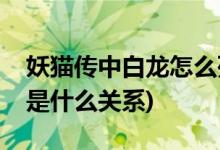 妖貓傳中白龍怎么死的(妖貓傳白龍和楊貴妃是什么關(guān)系)