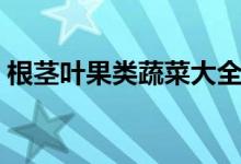 根莖葉果類蔬菜大全(根莖葉的蔬菜有哪些)