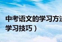 中考語文的學(xué)習(xí)方法和技巧(中考語文有什么學(xué)習(xí)技巧)
