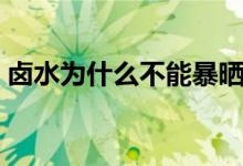 鹵水為什么不能暴曬(鹵水變黑怎樣調(diào)回來(lái))