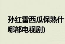 孫紅雷西瓜保熟什么電視劇(劉華強西瓜保熟哪部電視劇)