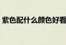 紫色配什么顏色好看（哪兩個(gè)顏色調(diào)成紫色）