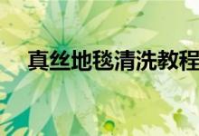 真絲地毯清洗教程（真絲地毯怎么清洗）