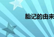 胎記的由來(lái)（胎記的由來(lái)）