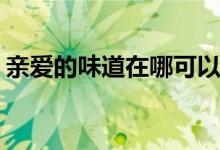 親愛(ài)的味道在哪可以看(親愛(ài)的味道哪里播出)