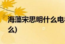 海藻宋思明什么電視劇(蝸居這電視想表達什么)