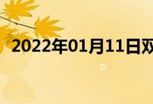 2022年01月11日雙語(yǔ)整理:絲蟲(chóng)雙語(yǔ)例句