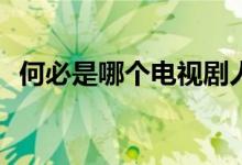 何必是哪個電視劇人物(何必是哪部電視劇)
