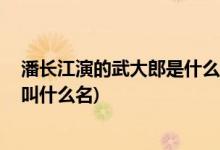 潘長江演的武大郎是什么電視劇( 潘長江演的武大郎電視劇叫什么名)