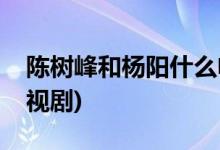 陳樹(shù)峰和楊陽(yáng)什么電視劇(楊陽(yáng)樹(shù)峰是什么電視劇)