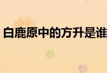 白鹿原中的方升是誰(shuí)(白鹿原電視劇方升原型)