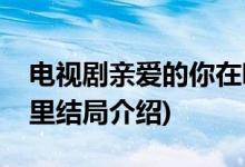電視劇親愛的你在哪里大結局(親愛的你在哪里結局介紹)