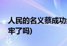 人民的名義蔡成功結局是什么(蔡成功最后坐牢了嗎)