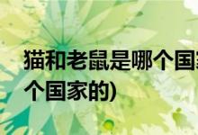 貓和老鼠是哪個(gè)國家的動(dòng)畫片(貓和老鼠是哪個(gè)國家的)