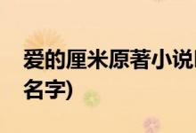 愛的厘米原著小說叫什么(愛的厘米原著小說名字)